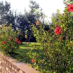 Κατάλυμα σε φάρμα Le Carolee Pianopoli