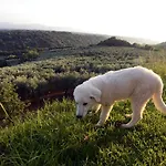 Le Carolee Κατάλυμα σε φάρμα