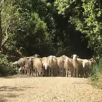 Κατάλυμα σε φάρμα Le Carolee