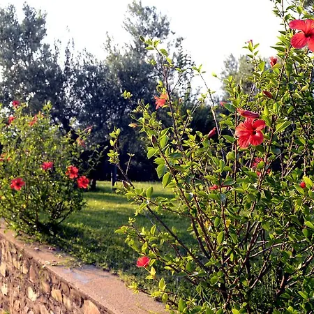 Lantgård Le Carolee Pianopoli