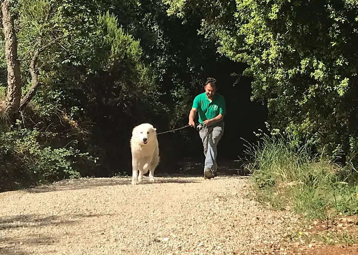 Séjour à la ferme Le Carolee Pianopoli