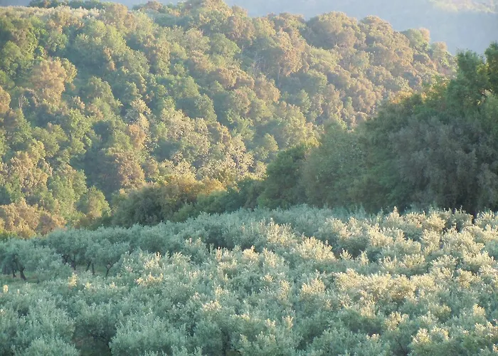 Farm stay Le Carolee *