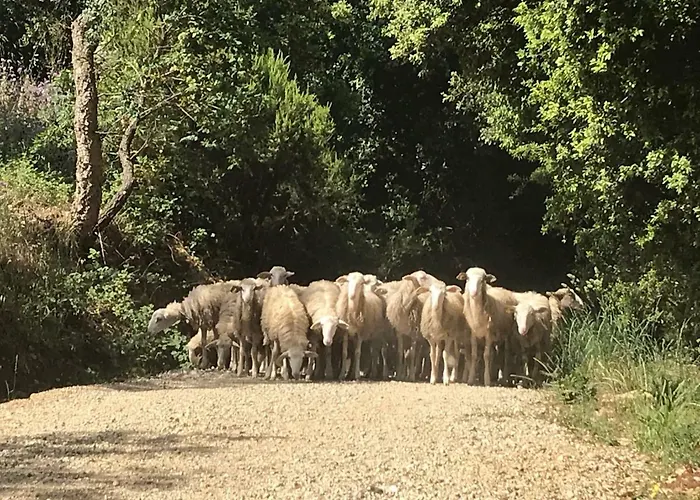 Séjour à la ferme Le Carolee